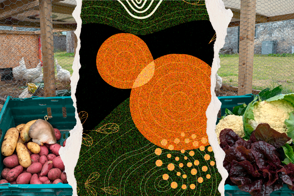 Explorando la Permacultura: Más Allá de los&nbsp;Límites