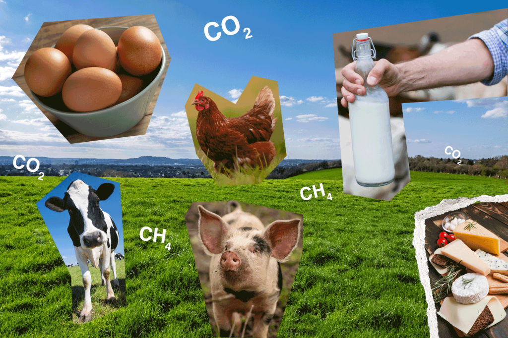 ¡No quiero ser vegetariana! Pero me preocupa el cambio climático…